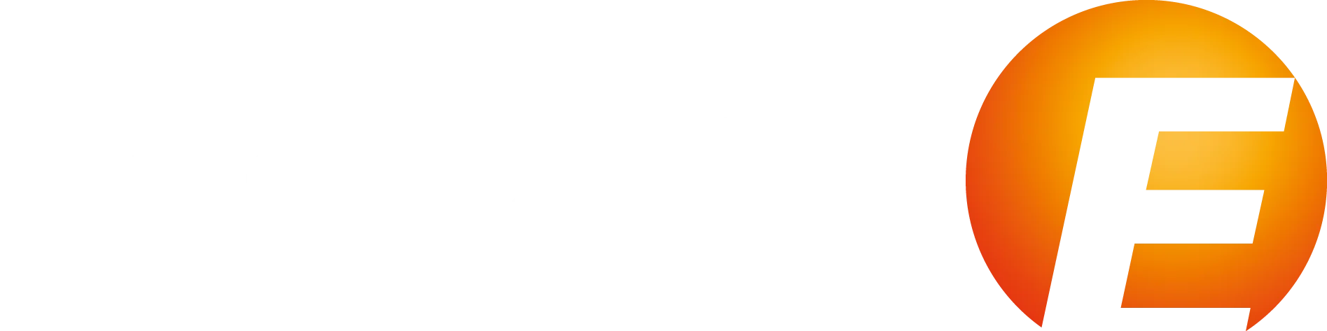 logo the smarter europe - The smarter E Europe 2025